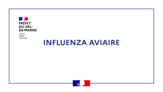  Influenza aviaire hautement pathogène (IAHP) : professionnels et particuliers, soyez vigilants !
